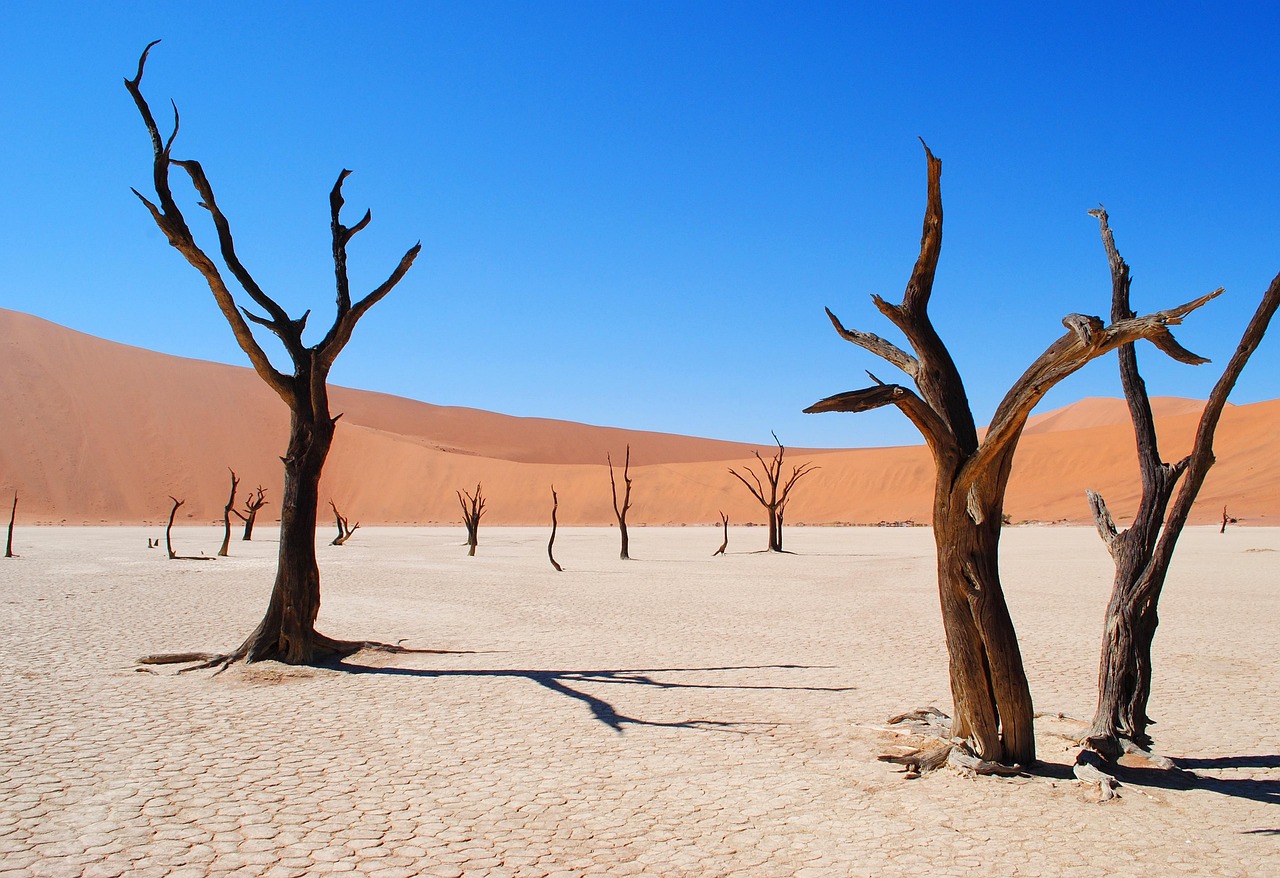 Sossusvlei 
