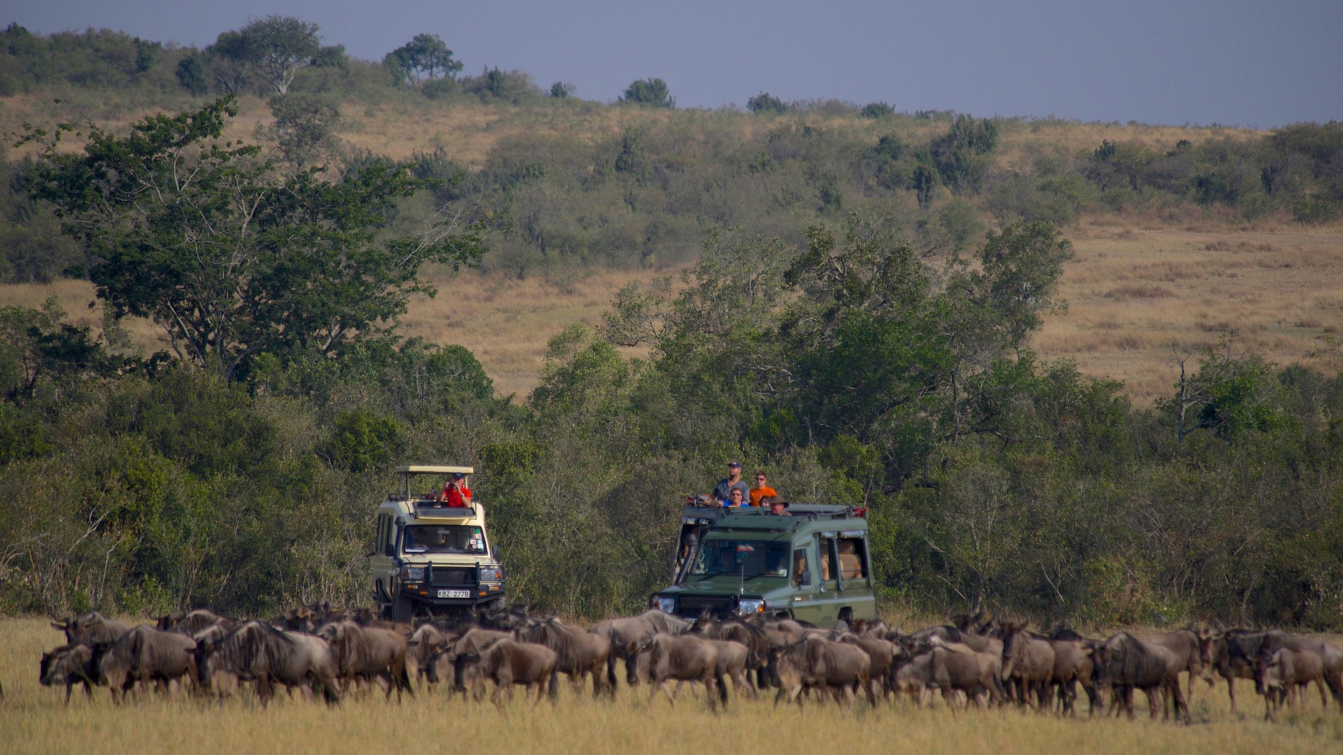 Serengeti vs Masai Mara 2026 safari vehicle viewing 