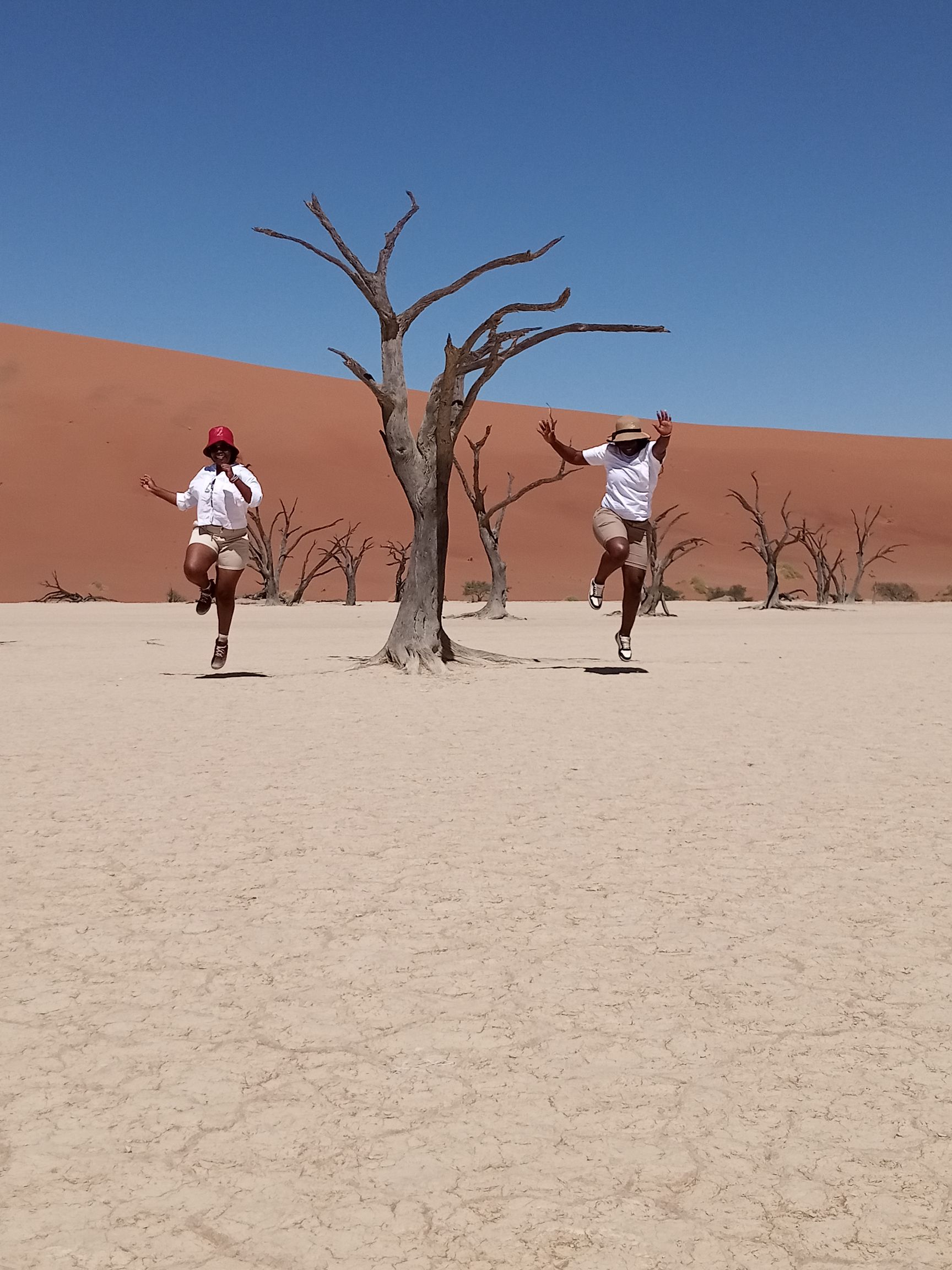 Deadvlei white clay pan with dead camelthorn trees red dunes background Namibia