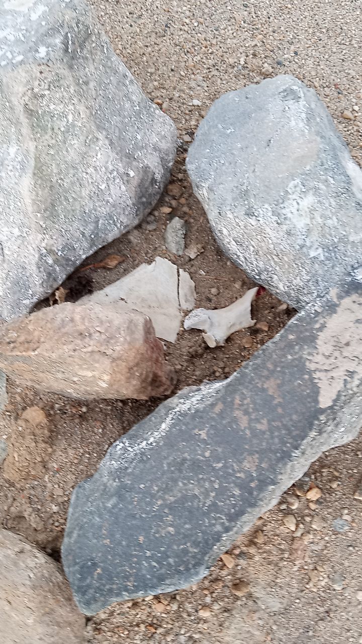 Shark island Luderitz kolmanskop human bones Namibia genocide