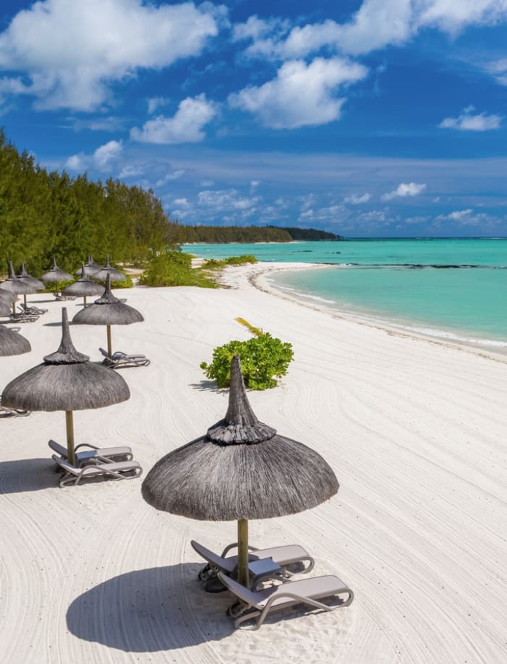 Mauritius Eland Eight tripkora